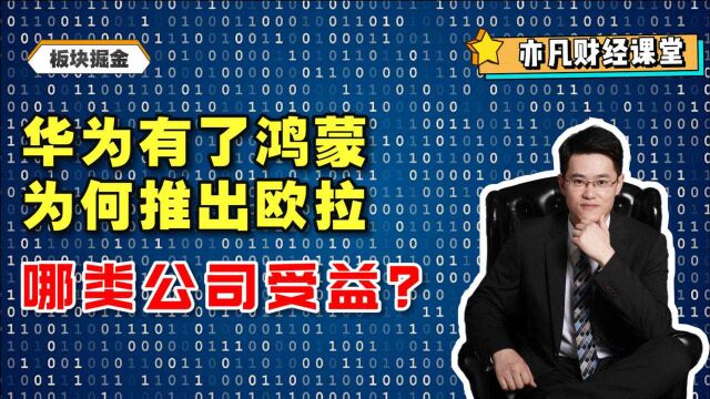 华为有了鸿蒙,为何推出欧拉?哪类公司受益?