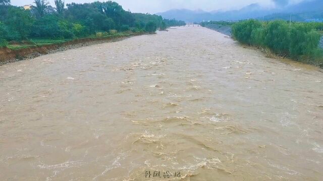 丹凤段丹江河水位快速上涨…