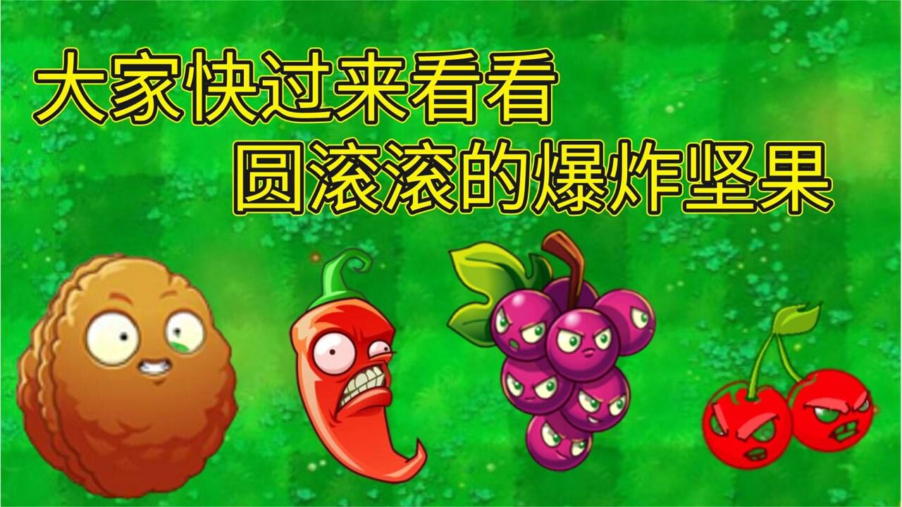 植物大战僵尸:大家快过来看看,圆滚滚的爆炸坚果_高清