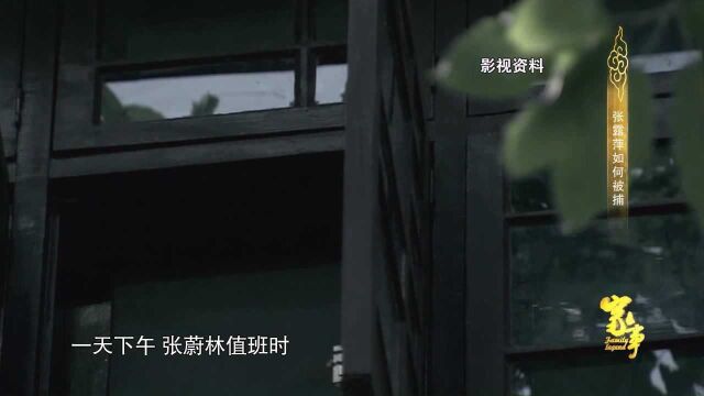 张露萍身份暴露,曾有两次机会逃走,为何最后都放弃了?