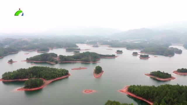 6、传播湿地文化 保护生态环境