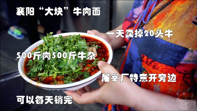 襄阳“大块”真牛肉面,一天卖掉20头牛,屠宰厂开旁边,每天销完