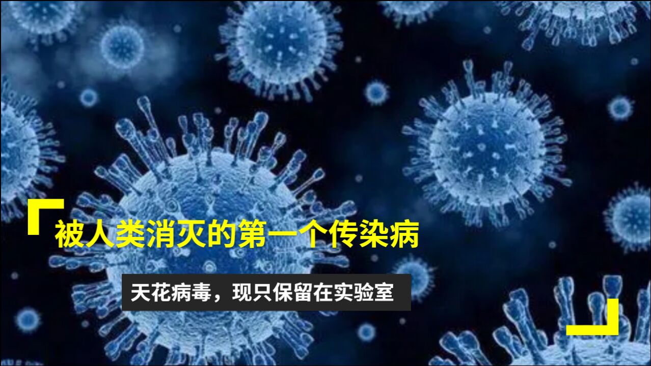 被人类消灭的第一个传染病天花病毒现只保留在实验室_腾讯视频