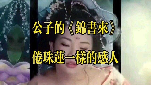 公子的《锦书来》卷珠莲一样的感人