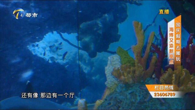 错峰抓住假期的尾巴,您选好出游地点了吗?海博了解一下?