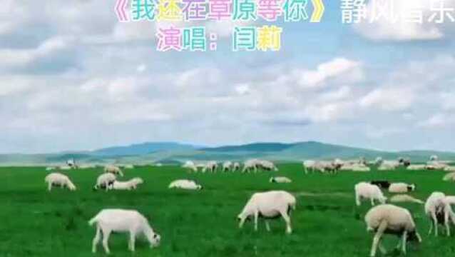 草原歌曲《我还在草原等你》演唱:闫莉