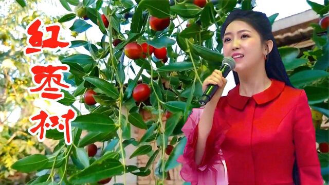 任妙音原唱红枣树甜美声音却勾起了游子思乡情