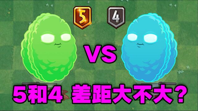 4阶全息坚果VS5阶全息坚果!适合升满级吗?