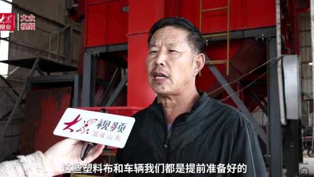 连雨过后看秋收④|平阴县孝直镇:调度大型农机力量,力保秋粮颗