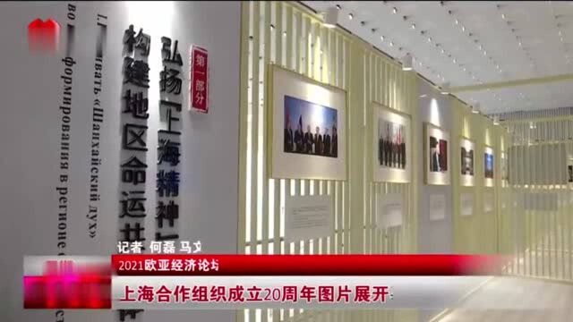 上海合作组织成立20周年图片展开幕