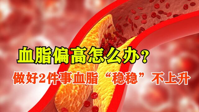 血脂偏高怎么办?医生建议:平时做好2件事,血脂“稳稳”不上升