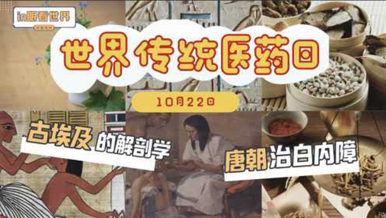 in眼看世界:世界传统医药日古文明的传统医药_高清1080P在线观看平台_腾讯视频