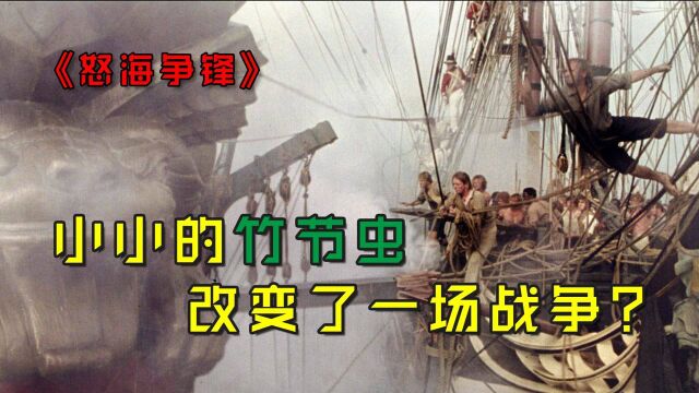 怒海争锋:一场拿破仑时代的史诗级海战,一只小小的竹节虫,竟然改变了战争的最终走向?