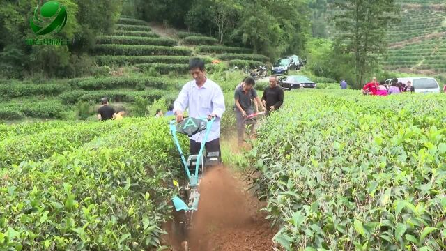 茶叶生产新机具示范推广现场会在东关镇举行