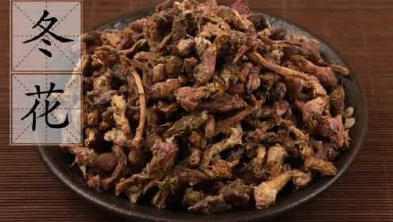 款冬花(每日一款中草药)_高清1080P在线观看平台_腾讯视频