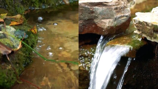 隐没山中的泉水歌,济南圣水泉泉水怒涌清冽甘甜,潺潺之声清脆悦耳