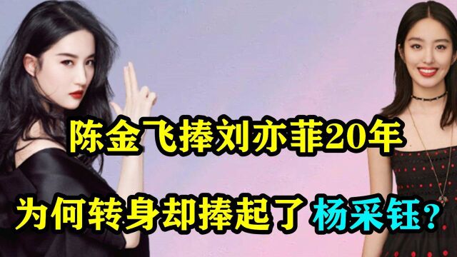 陈金飞终于放过刘亦菲?曾力捧“干女儿”20年,为何恋上杨采钰