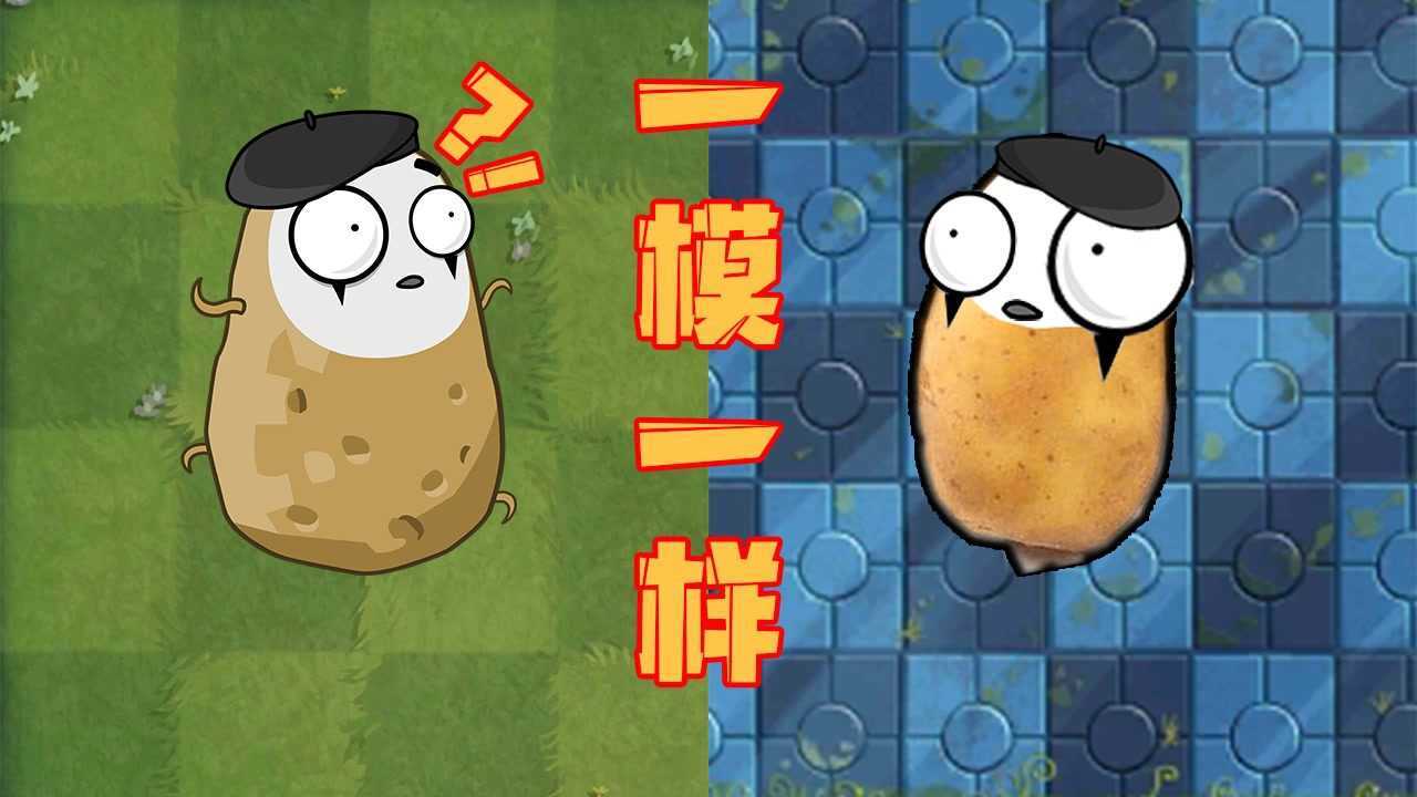 陈贝贝大战僵尸第四弹植物大战僵尸：pvz中植物的原型，变身茄子居然是土豆！高清1080p在线观看平台腾讯视频 