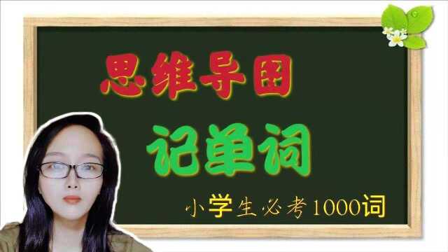 思维导图加自然拼读记单词,提高学习效率,小学生考试1000词