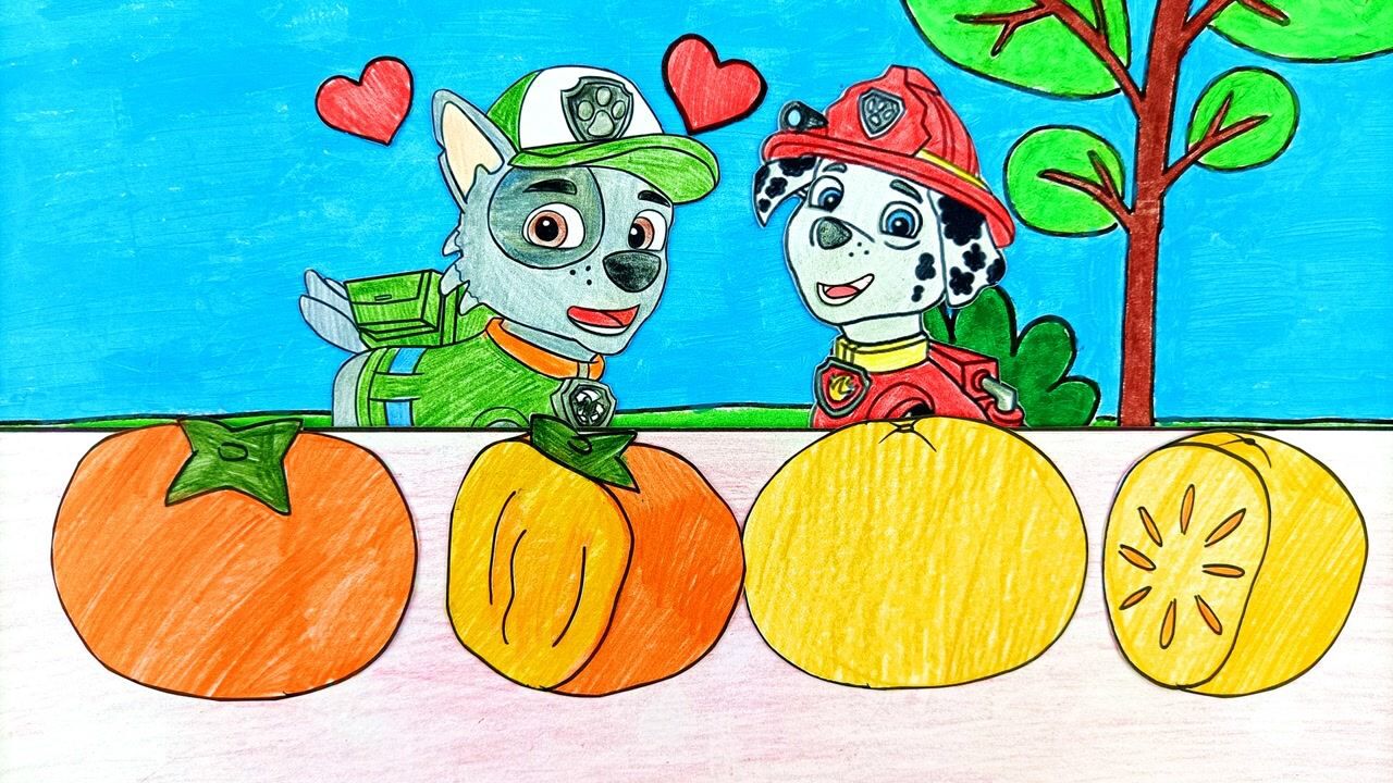 大牙手绘 手绘定格动画:汪汪队毛毛和灰灰一起品尝软柿子和硬柿子!