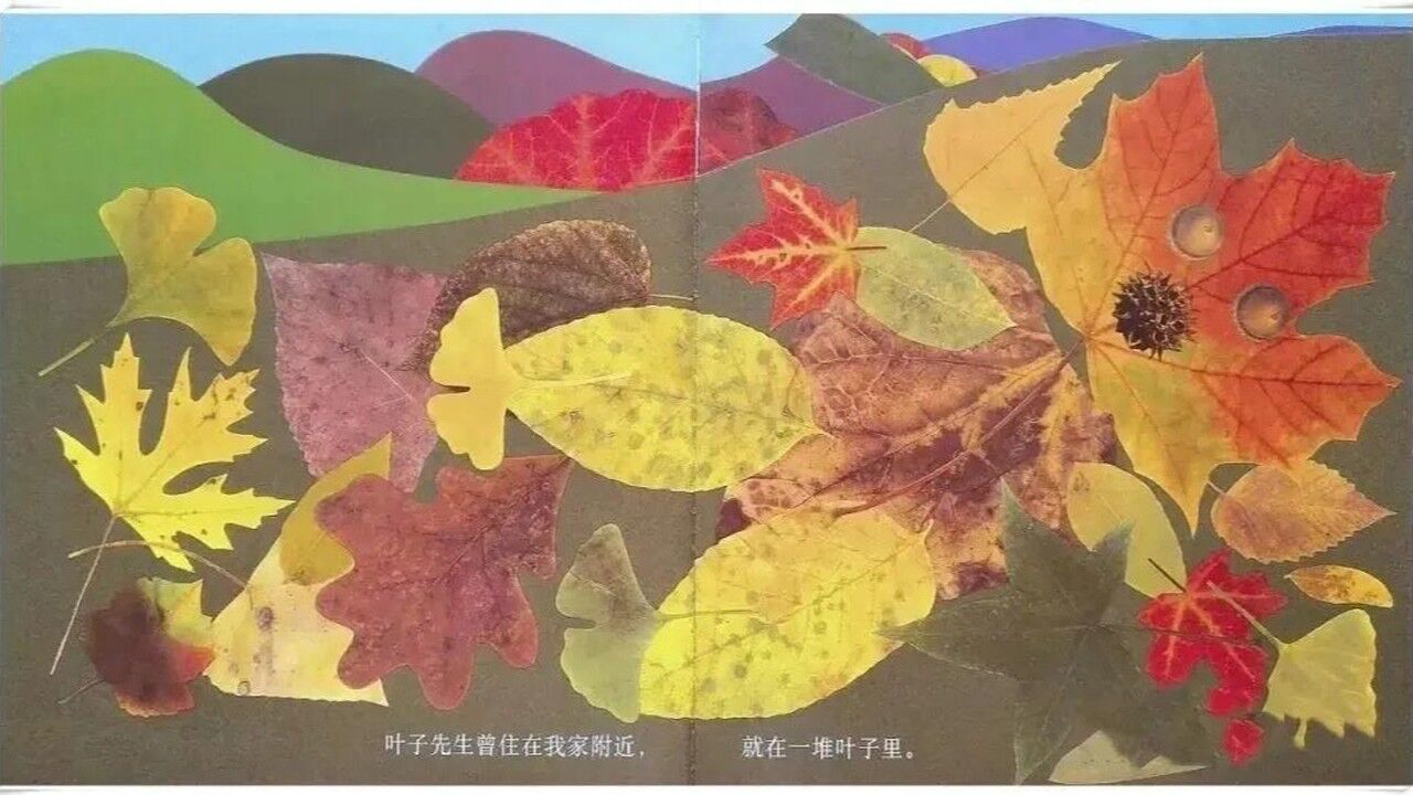 秋天的绘本故事制作分享 ——胡萝卜老师 _高清1080P在线观看平台_腾讯视频