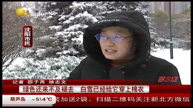 沈阳:绿色还来不及褪去,白雪已经给它穿上棉衣