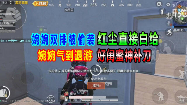 侠客婉婉婉婉双排被偷袭红尘直接白给气到退游却遭姐妹补刀