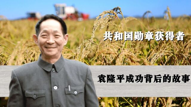 杂交水稻不好吃?共和国勋章获得者袁隆平,究竟有哪些贡献