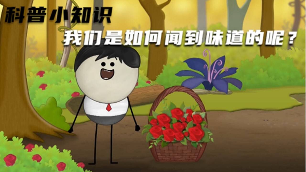 科普小知识:我们是如何闻到味道的呢?_高清1080P在线观看平台_腾讯视频