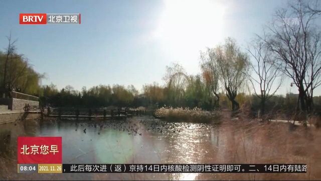 深度解析:龙潭西湖如何净化龙潭三湖水系