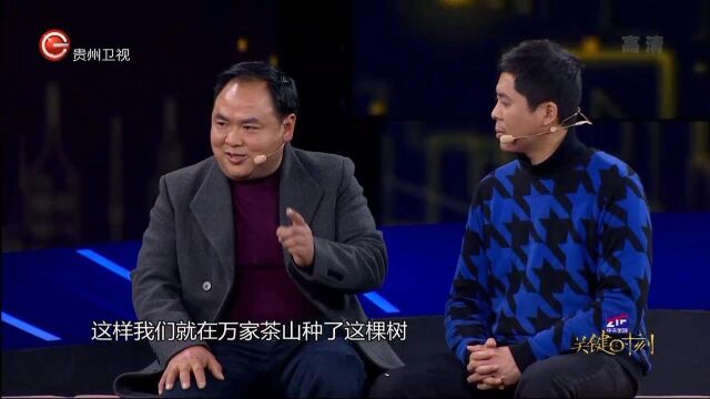 王明礼倾尽家产,与侄子一起开山种茶丨关键时刻