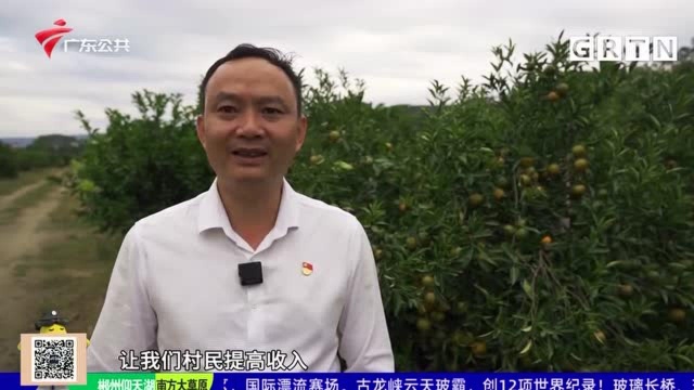 康康我的家乡——惠州市龙门县低冚村 昔日小山沟融合“红+绿”