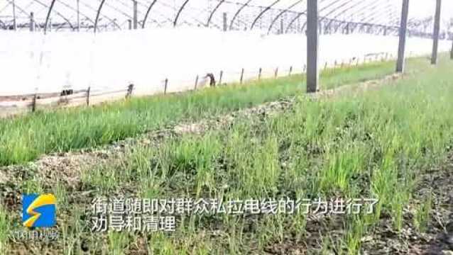 滨州市滨城区堤东赵“小葱哥”的愁事不再愁