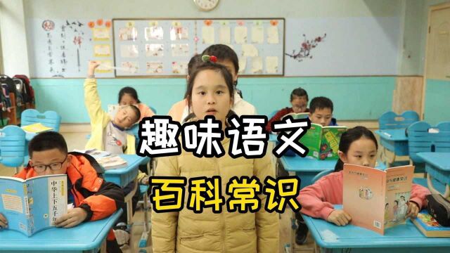 趣味语文:小学生挑战百科常识问答,趣味十足