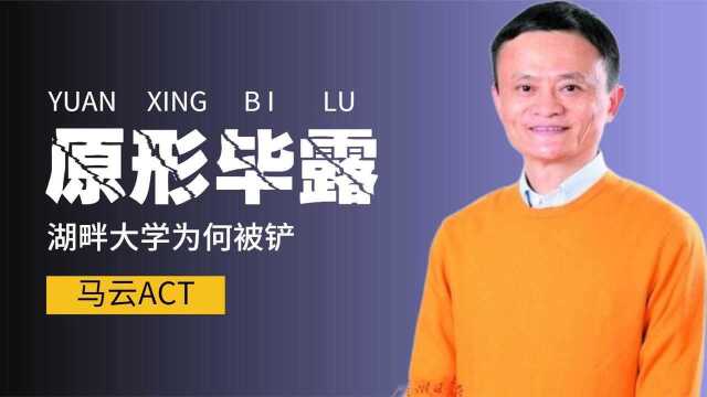 资本野心终于浮出水面,湖畔大学叫停背后真相浮出,马云难辞其咎