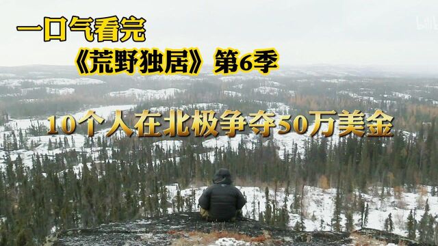 一口气看完《荒野独居》第6季,10个人在北极生存,争夺50万美金