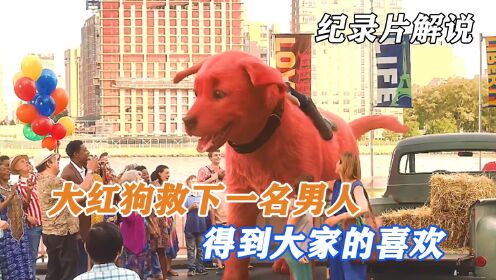 红狗救下一名男人，让群众们喜欢，反而被坏人发现，有群众的掩护下还是被抓去做实验