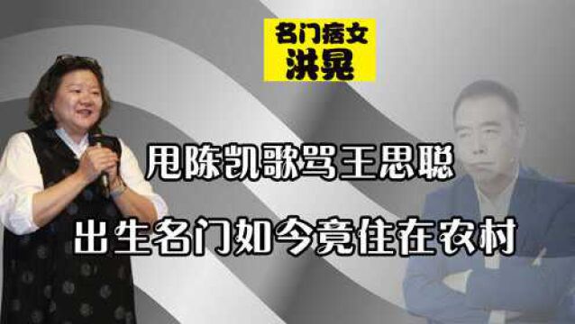 甩陈凯歌骂王思聪,出生名门历经四段婚姻的洪晃,如今竟住在农村