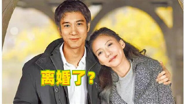 王力宏李靓蕾离婚?共同拥有30亿财产,离婚原因疑似与婆媳关系有关