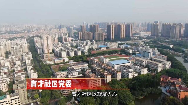 54.桂城街道基层党建系列报道(社区篇)育才社区(片头+唱词)