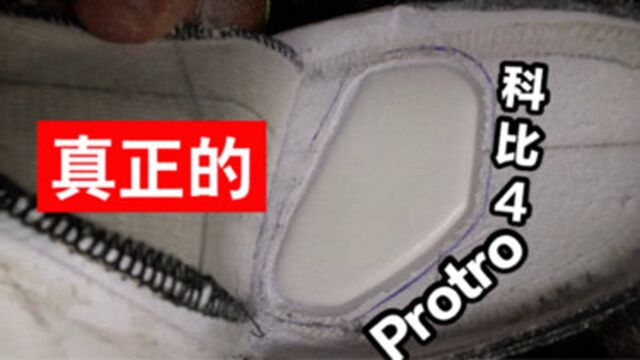 这才是真正的protro吧!