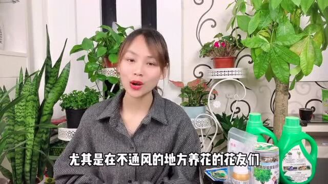 养花用的小白药到底是什么?被称为最牛杀虫剂为啥却在国内被禁用