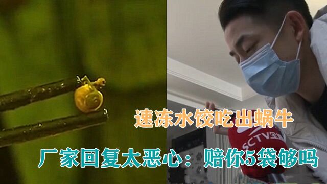 速冻水饺吃出蜗牛,男子索赔被拒,厂家回复太恶心:赔你5袋够吗