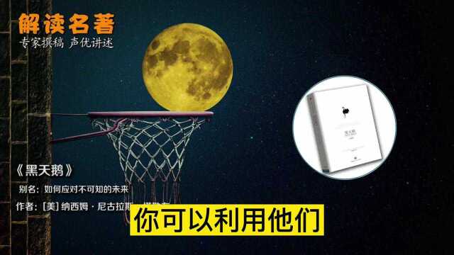 世界名著《黑天鹅》 :怎样面对不可预测的重大稀有事件