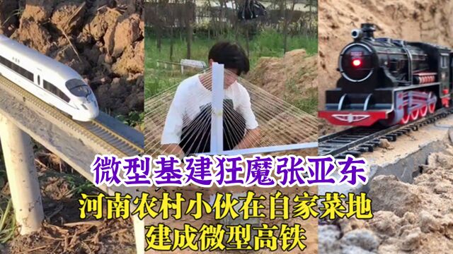 张亚东:河南农村小伙逆袭成微型基建狂魔,网友:未来工程师