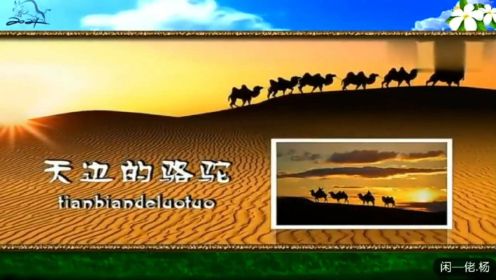 《天边的骆驼🐫》一Xianlaoyang