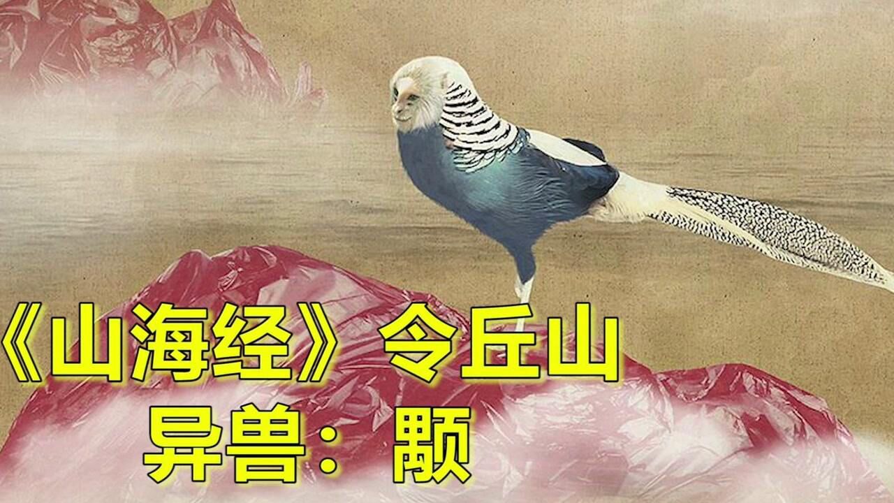 山海经颙图片