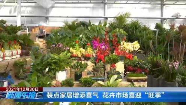 装点家居增添喜气 花卉市场喜迎“旺季”