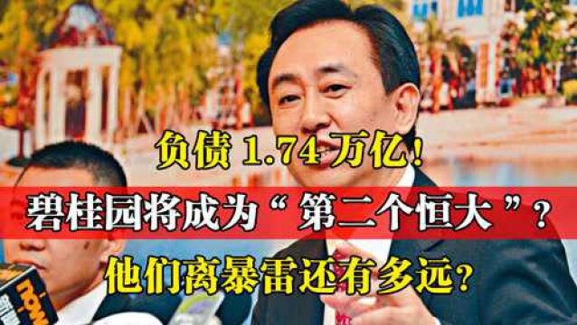 负债1.74万亿!销售额远低于万科,碧桂园将成为“第二个恒大”?