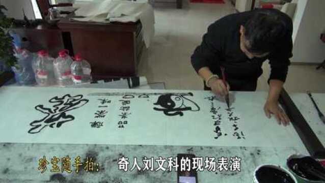 珍宝随手拍:【达人】刘文科的现场表演